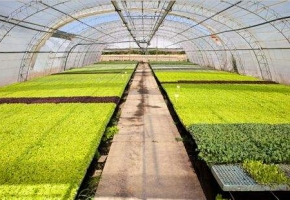 關(guān)于智慧農(nóng)業(yè)物聯(lián)網(wǎng)解決方案的常見(jiàn)問(wèn)題