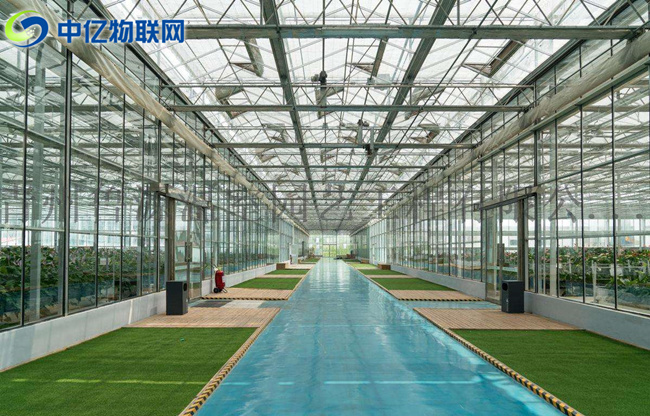 智慧農業(yè):農業(yè)物聯網解決方案之智能大棚系統