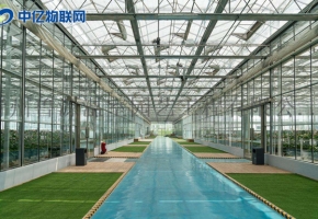 智慧農業(yè):農業(yè)物聯(lián)網(wǎng)解決方案之智能大棚系統(tǒng)