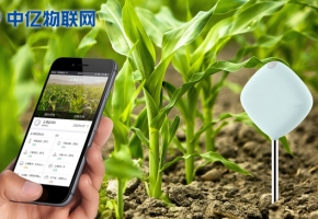 物聯(lián)網(wǎng)卡運用在農(nóng)作物管理上會怎么樣？