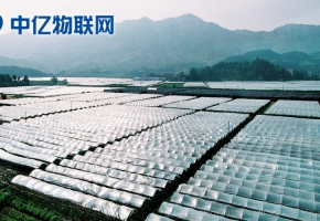 移動(dòng)物聯(lián)卡讓農(nóng)業(yè)物聯(lián)網(wǎng)智能化!