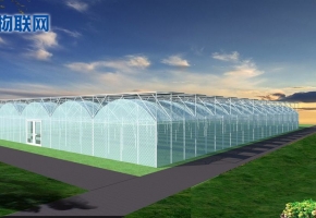 農(nóng)業(yè)溫室大棚物聯(lián)卡：促進(jìn)LoRa物聯(lián)網(wǎng)與智慧農(nóng)業(yè)的完美契合！