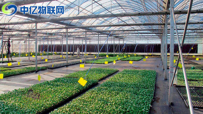 生產(chǎn)監(jiān)控設(shè)備流量卡：物聯(lián)網(wǎng)讓農(nóng)業(yè)生產(chǎn)精細(xì)化！