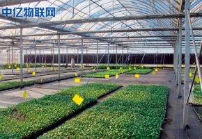 生產(chǎn)監(jiān)控設(shè)備流量卡：物聯(lián)網(wǎng)讓農(nóng)業(yè)生產(chǎn)精細(xì)化！