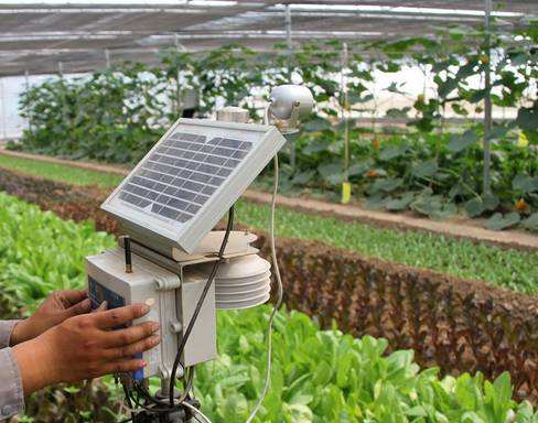 智慧農(nóng)業(yè)物聯(lián)網(wǎng)流量卡：遠(yuǎn)程調(diào)控設(shè)備 生態(tài)環(huán)境信息自動檢測！