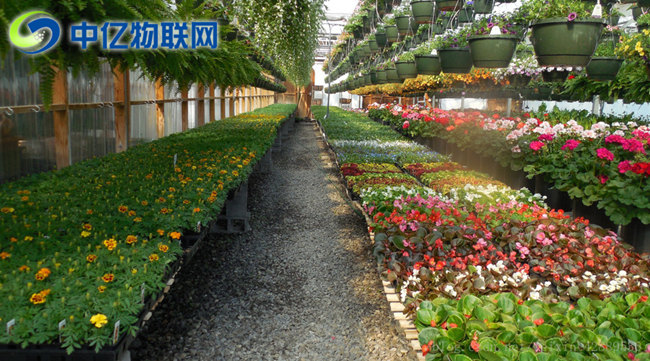 電信物聯(lián)卡是如何應(yīng)用到智慧農(nóng)業(yè)大棚的？