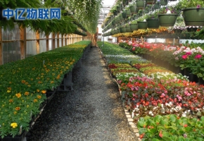 電信物聯(lián)卡是如何應用到智慧農(nóng)業(yè)大棚的？