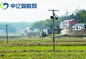 應急廣播的村村響物聯(lián)卡在哪采購？