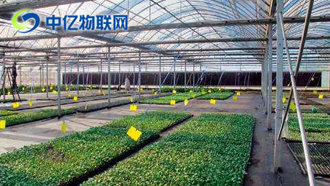 移動物聯(lián)網(wǎng)卡的出現(xiàn)帶動物聯(lián)網(wǎng)迅速成長