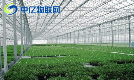 農(nóng)業(yè)大棚監(jiān)控物聯(lián)卡 農(nóng)業(yè)大棚監(jiān)控物聯(lián)卡