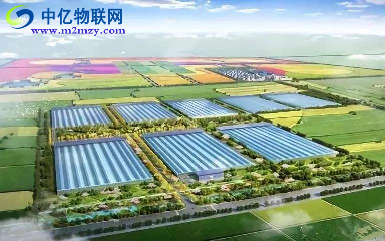 農(nóng)業(yè)物聯(lián)網(wǎng)是如何實現(xiàn)農(nóng)業(yè)生產(chǎn)精致化？