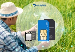 物聯(lián)網(wǎng)技術(shù)助力農(nóng)業(yè)實(shí)現(xiàn)“科學(xué)種植、綠色發(fā)展”！