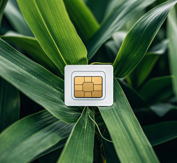 連接萬物:物聯(lián)網(wǎng)卡在農(nóng)業(yè)智能化中的角色 連接萬物:物聯(lián)網(wǎng)卡在農(nóng)業(yè)智能化中的角色